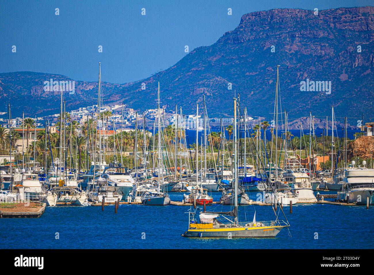 Tourist yachts and fishing boats in the marina of San Carlos Sonora ...
