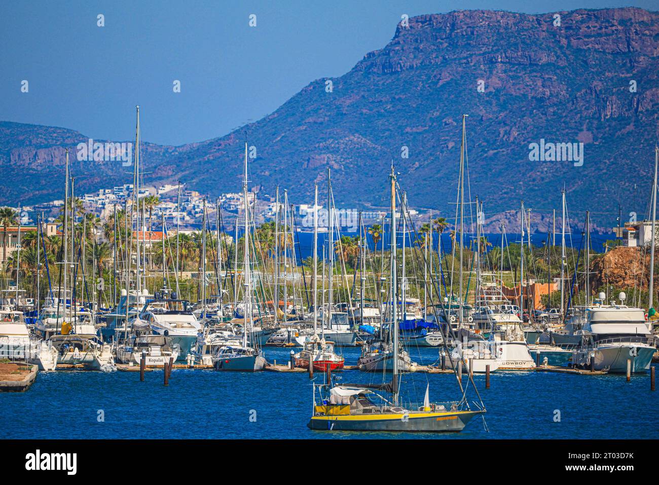 Tourist yachts and fishing boats in the marina of San Carlos Sonora ...