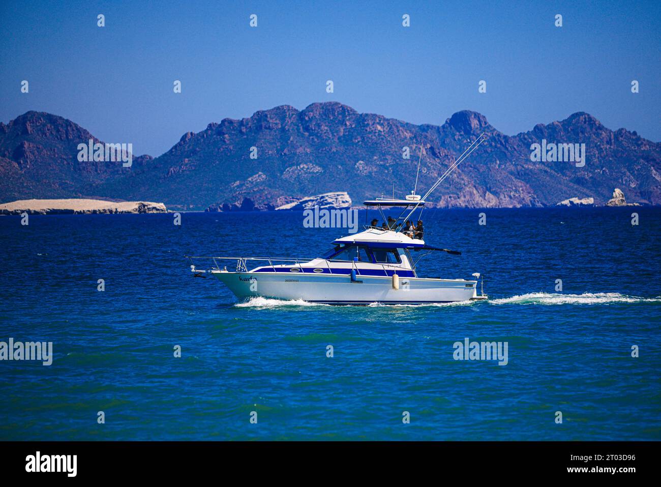 Tourist yachts and fishing boats in the marina of San Carlos Sonora ...