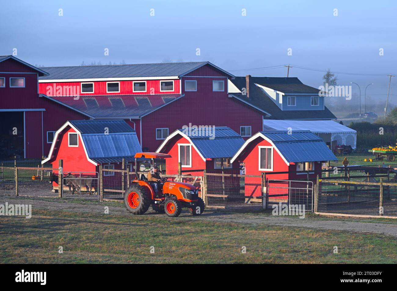 Farm, Maple Ridge, British Columbia, Canada Stock Photo