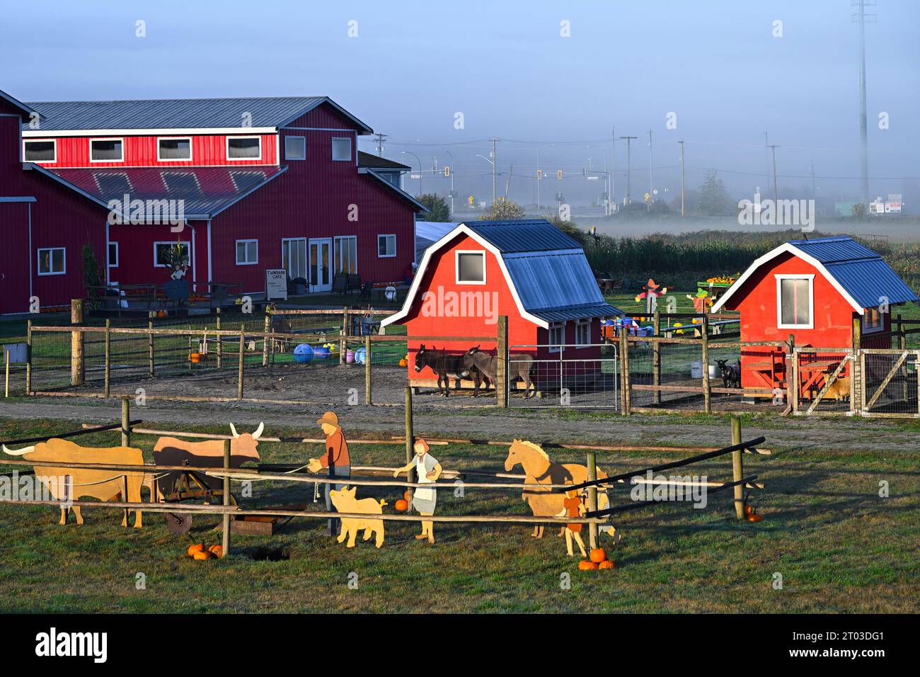 Fall attraction, Laity Pumpkin farm, Maple Ridge, British Columbia, Canada Stock Photo