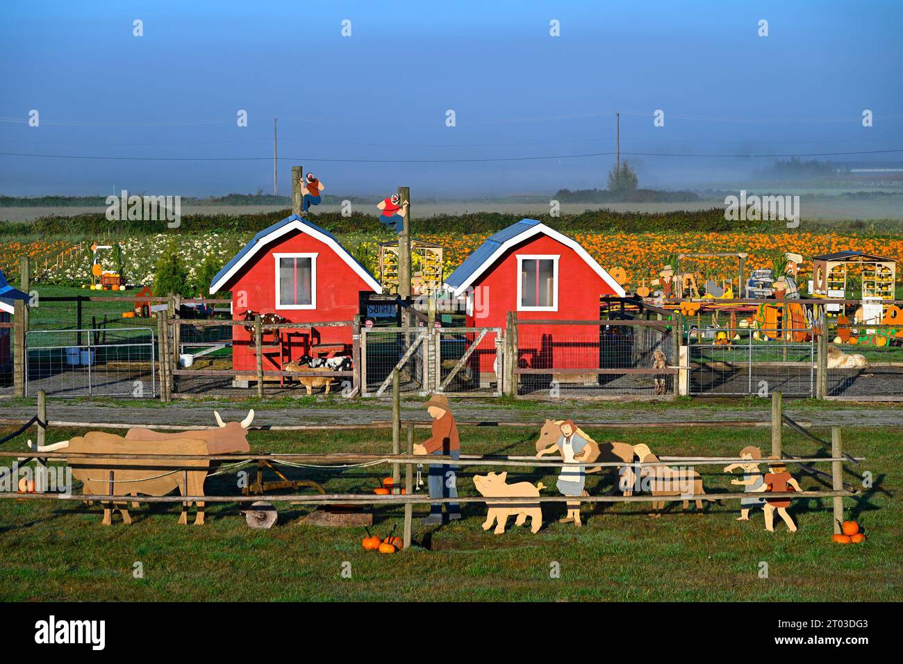 Laity Pumpkin Patch, Maple Ridge, British Columbia, Canada Stock Photo