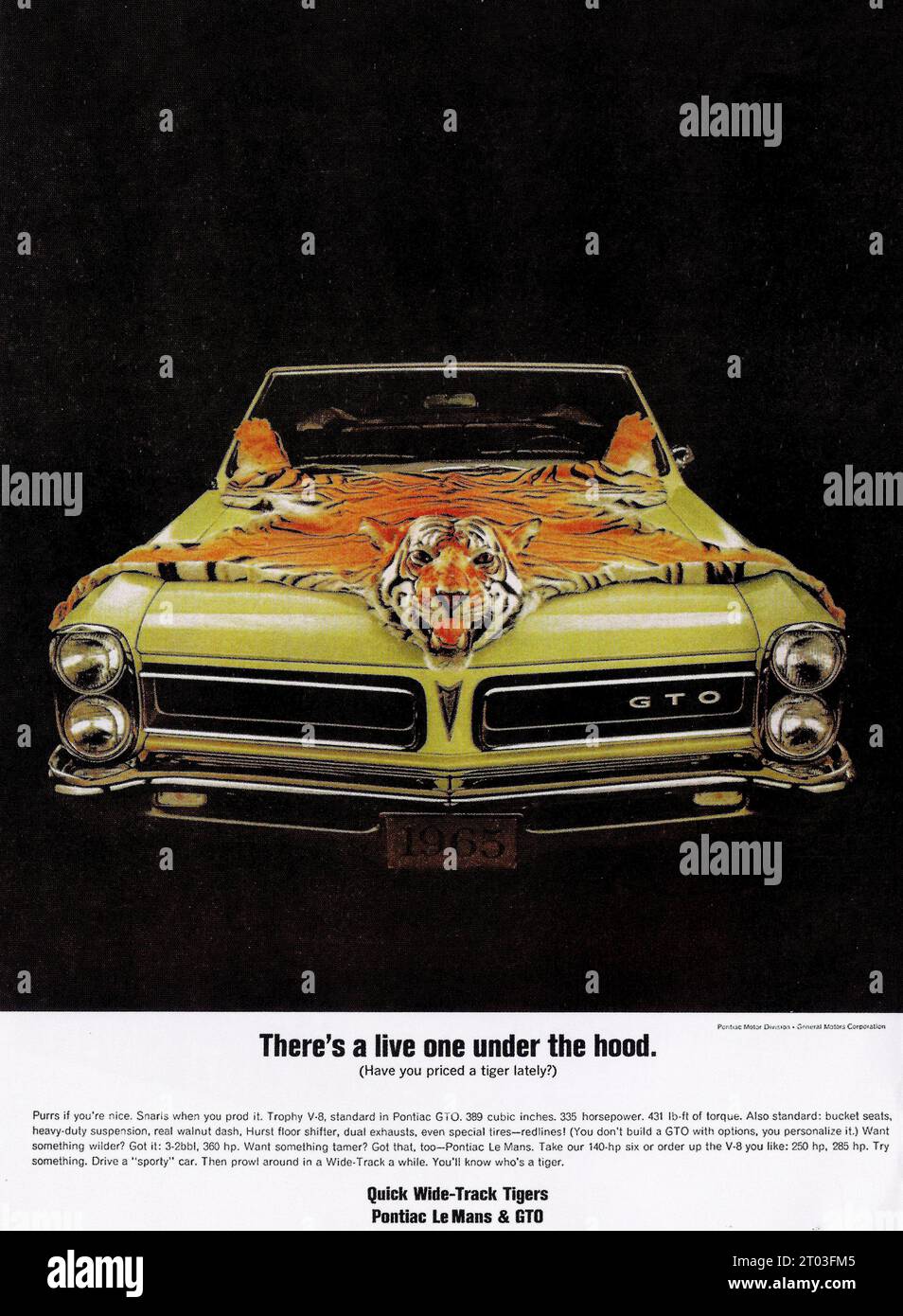 '65 Pontiac GTO Tiger 'Live One Under The Hood' 389 V-8 Engine 360 HP, 1965 Stock Photo