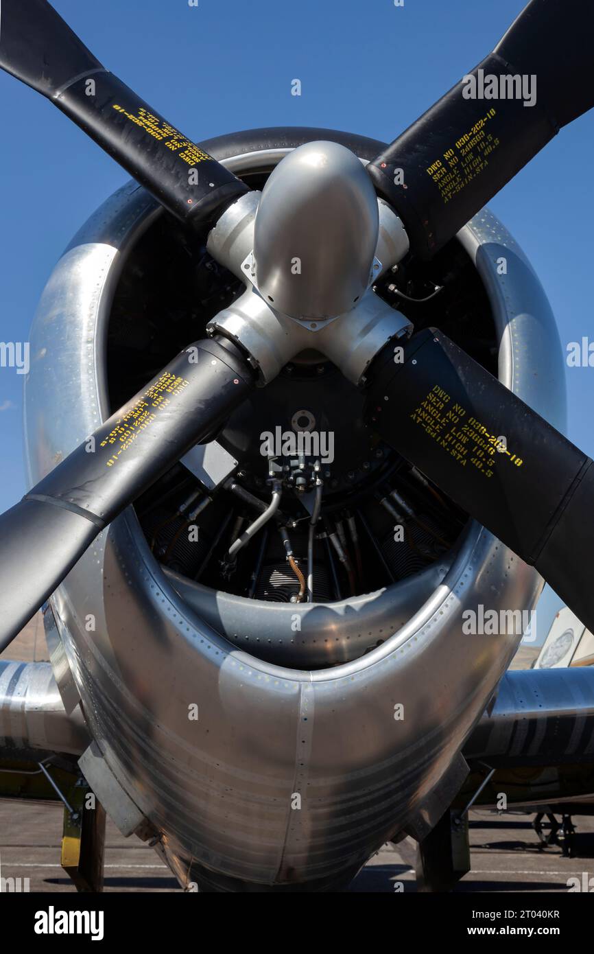 Front end of a Republic P-47 Thunderbolt fighter and its Pratt & Whitney R2800 radial engine.. Stock Photo