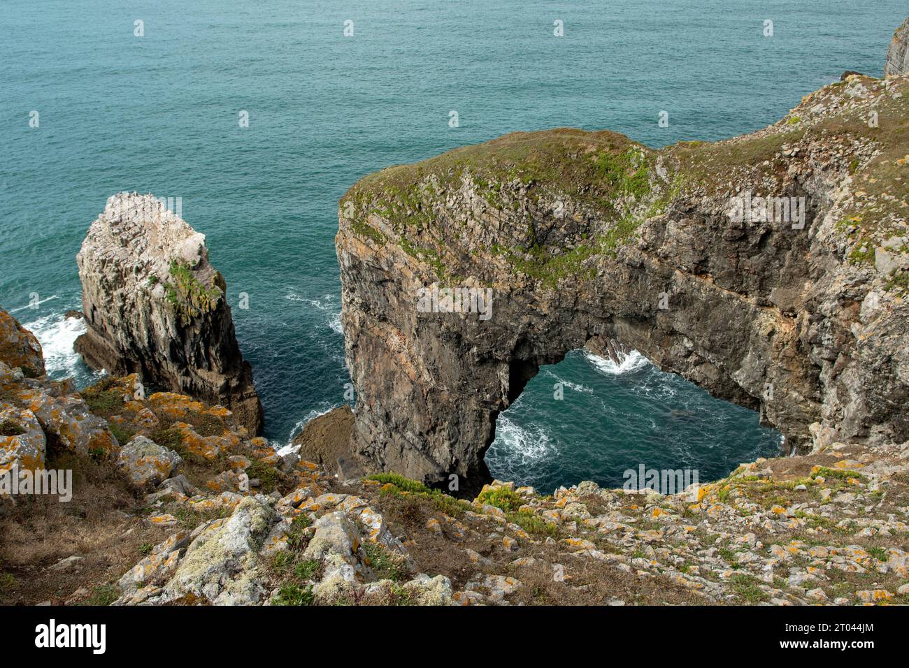 Green Bridge of Wales, Castlemartin, Pembrokeshire, Wales Stock Photo ...