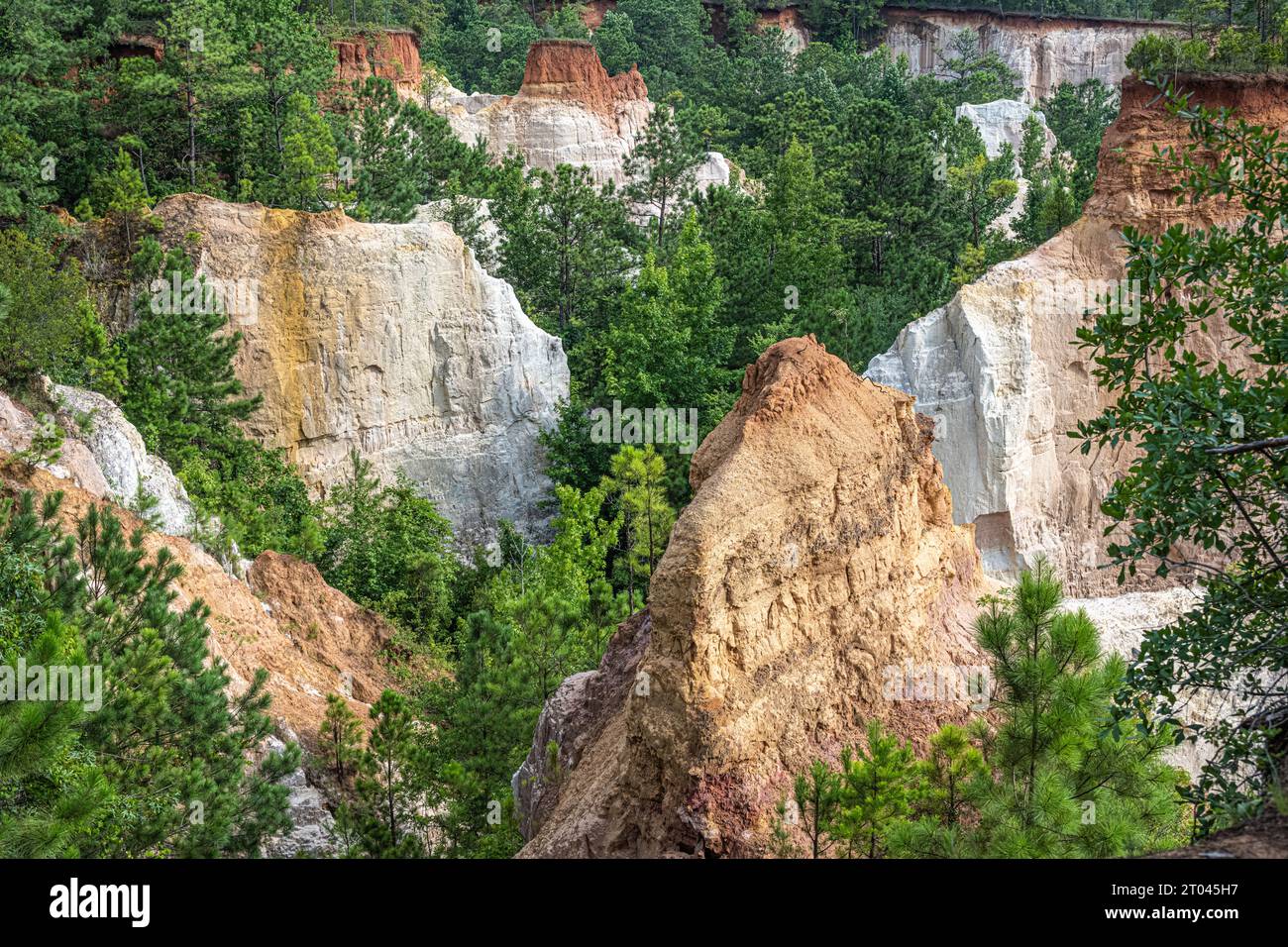 Beautiful variegated cliffs and summer foliage at Providence Canyon State Park in Lumpkin, Georgia. (USA) Stock Photo