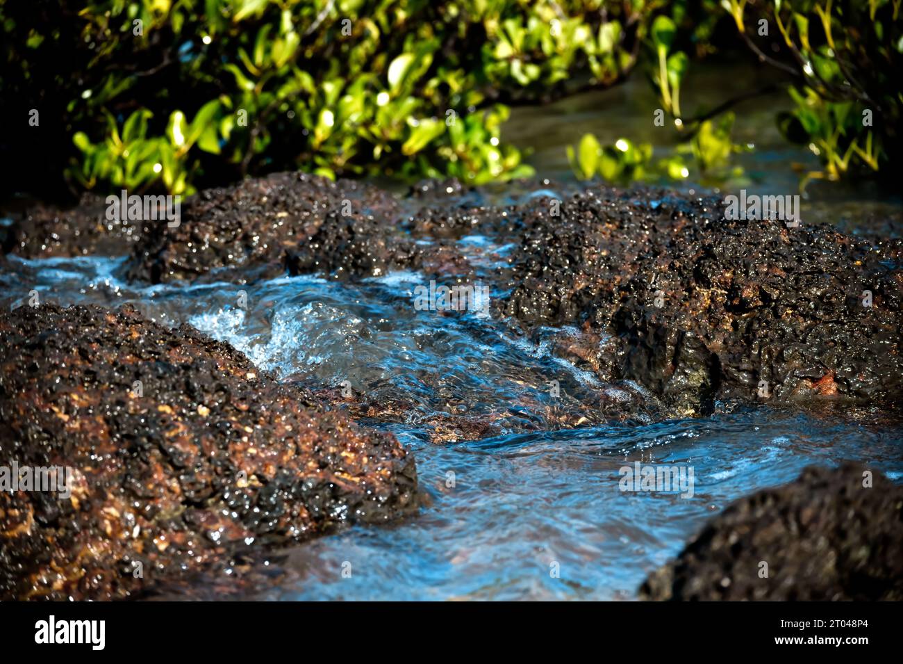 Small waves channel into new rock pools on the beach as the tide rolls in. Stock Photo