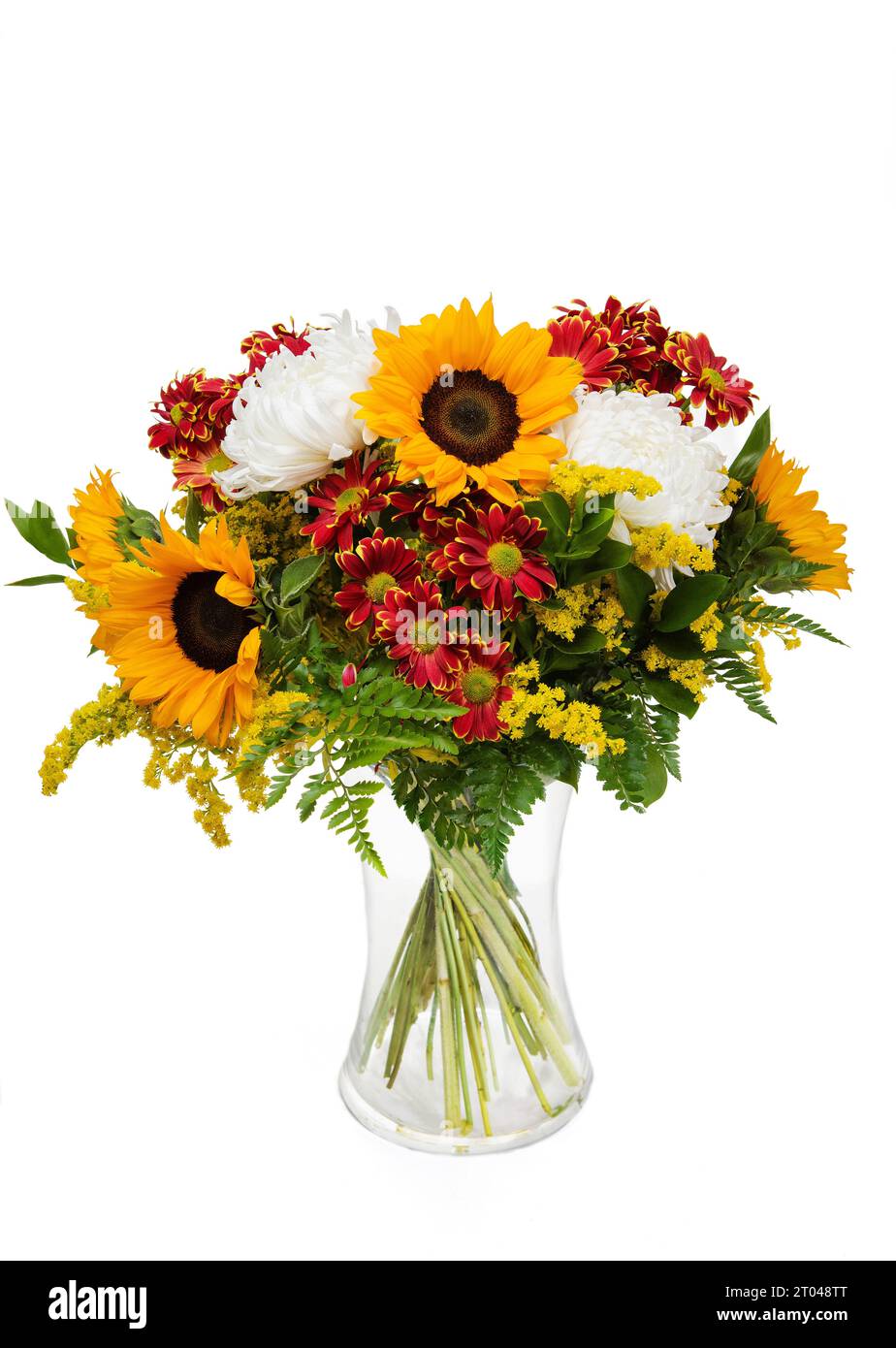 Beautiful huge bouquet of sunflowers with red garden chrysanthemums in vase on white background. Stock Photo