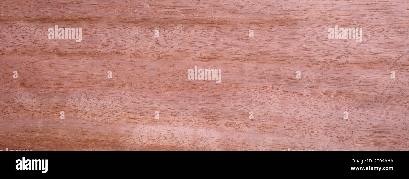 Closeup texture of wooden flooring made of Eucalyptus Stock Photo - Alamy