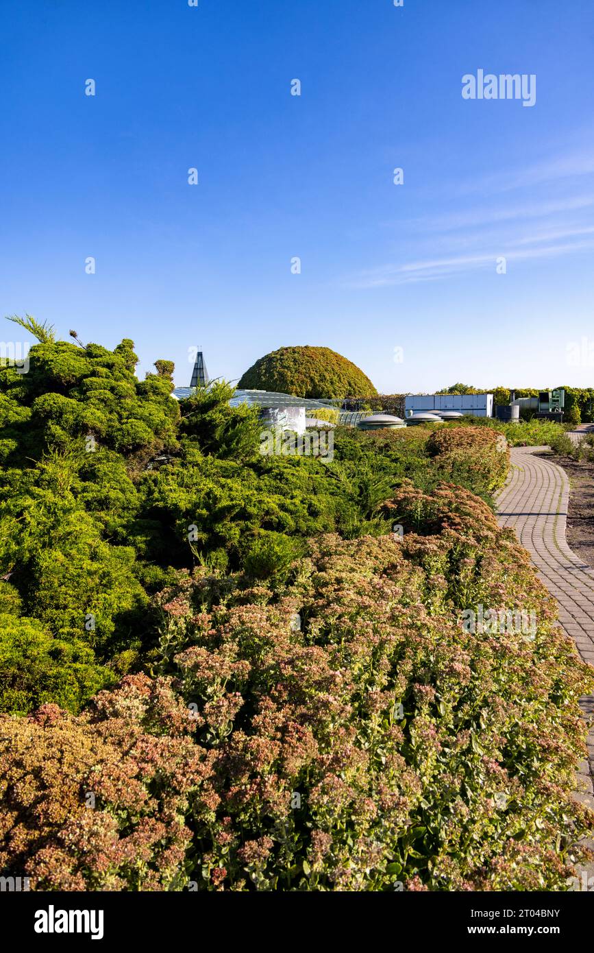 roof garden, Warsaw University new library, Warsaw, Poland Stock Photo