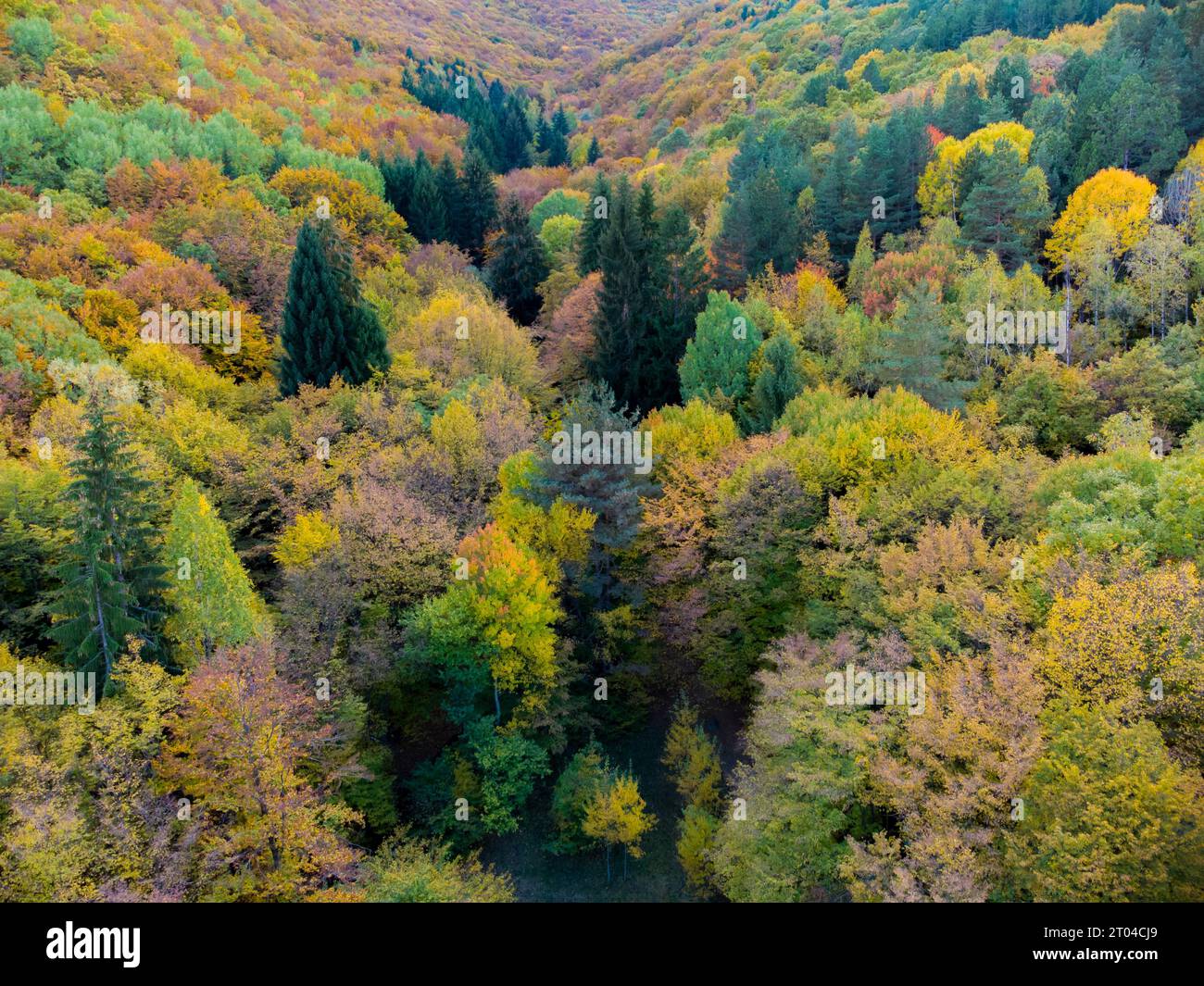 Beautiful autumn mountain landscape Stock Photo - Alamy