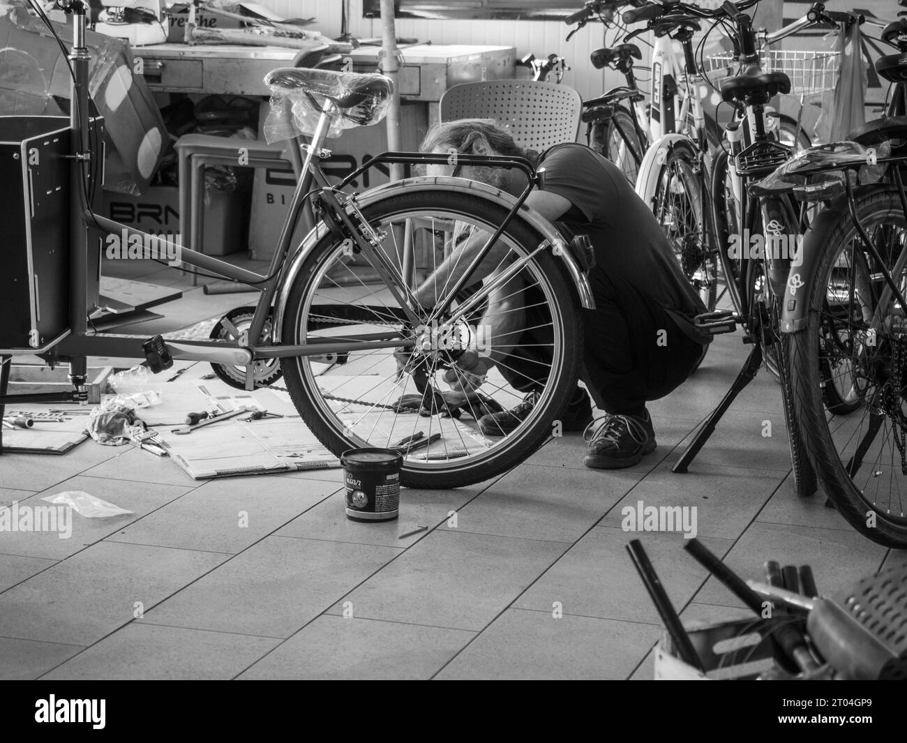 at the bike shop store and repair , old caucasian mechanic expert repairs assembling cargo bicycle Stock Photo