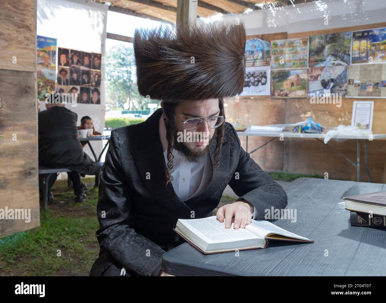 On Sukkos, an orthodox rabbi wearing a shtreimel fur hat reads psalms while sitting inside a Sukkah. In Rockland County New York. Stock Photo