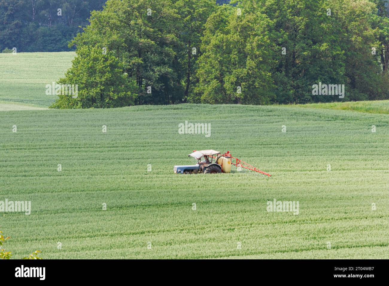 farmer is splashing herbicide on a field shortly before harvesting, Germany, Bavaria Stock Photo