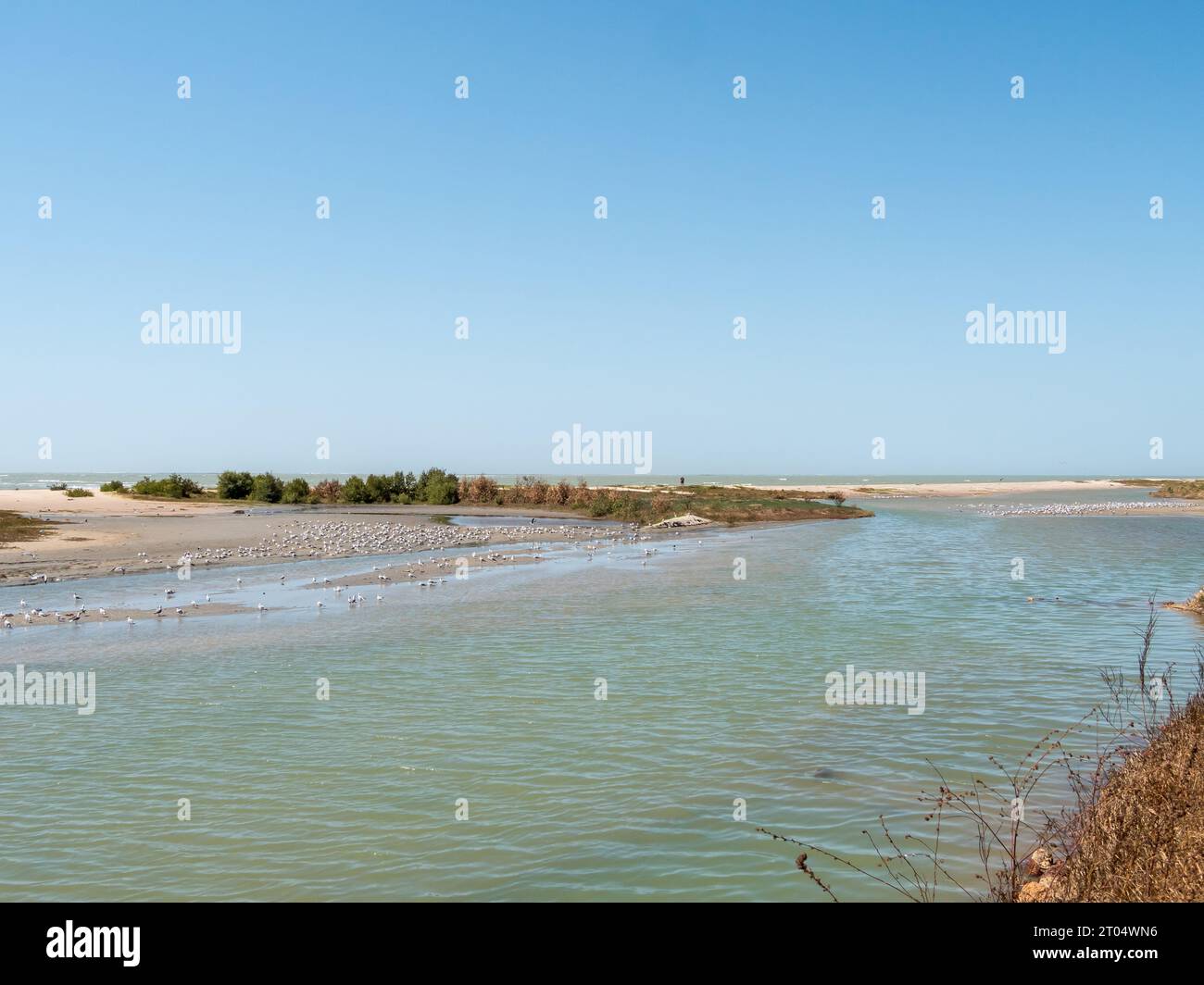 typical beach landscape in the Gambia, Gambia Stock Photo