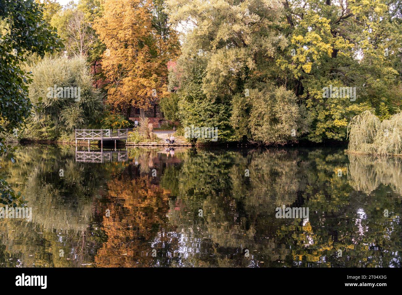 Teich am Schloß Britz, Berlin , Altweibersommer, Stock Photo