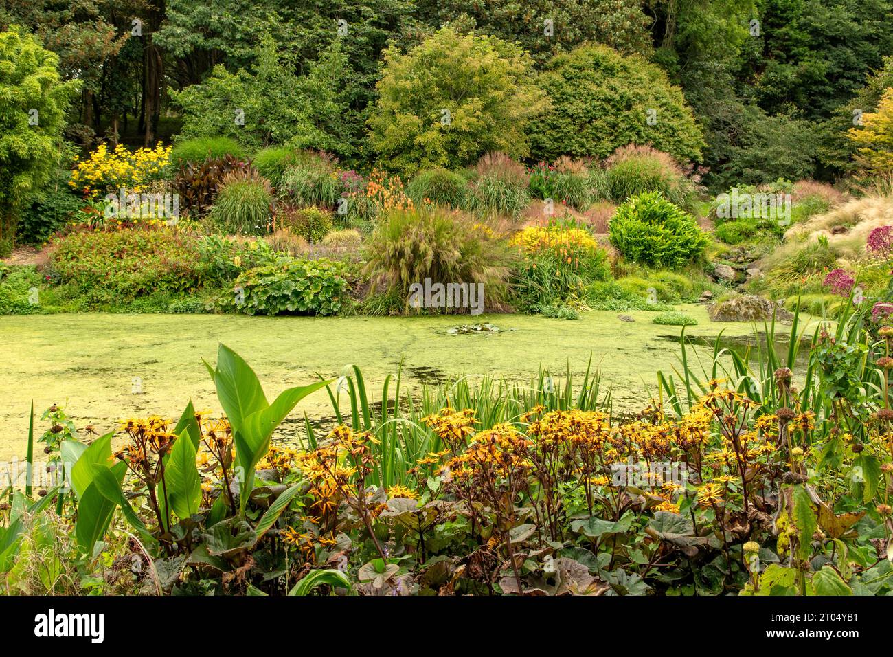 Gardens at Bonython Estate, Helston, Cornwall, England Stock Photo
