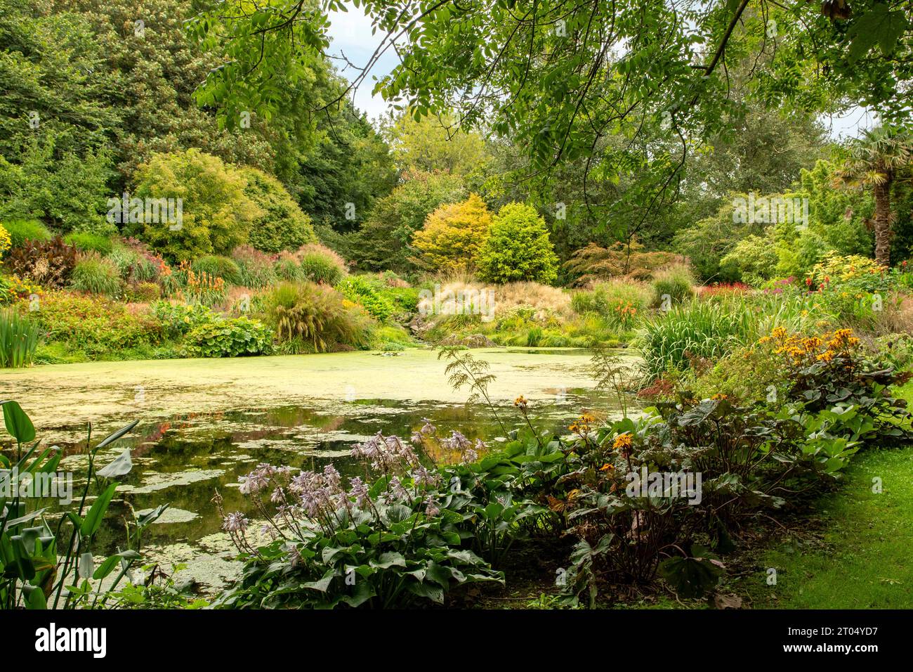 Gardens at Bonython Estate, Helston, Cornwall, England Stock Photo