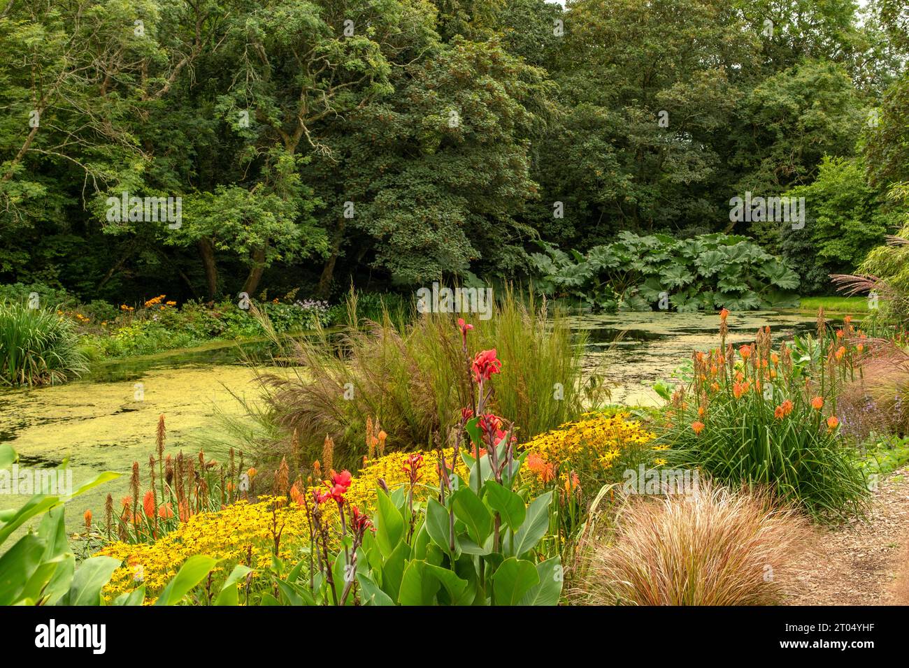 Gardens at Bonython Estate, Helston, Cornwall, England Stock Photo