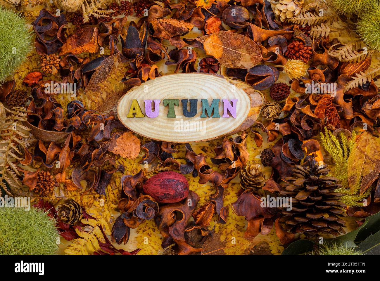 Autumn Nature Themed Flay Lay Stock Photo