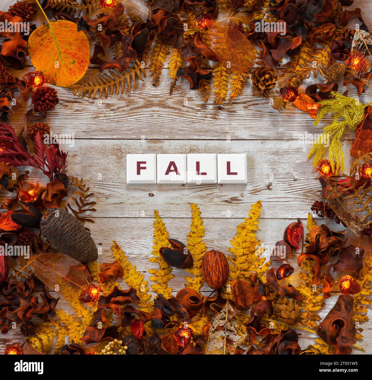 Fall Nature Themed Flay Lay Stock Photo