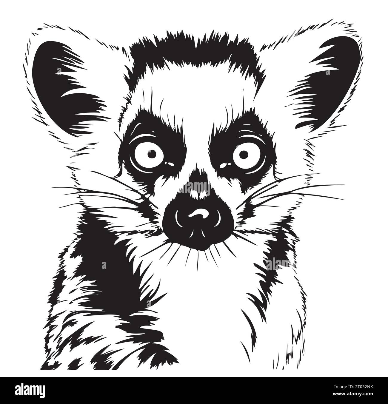 Lemur head sketch hand drawn Vector illustration Stock Vector Image