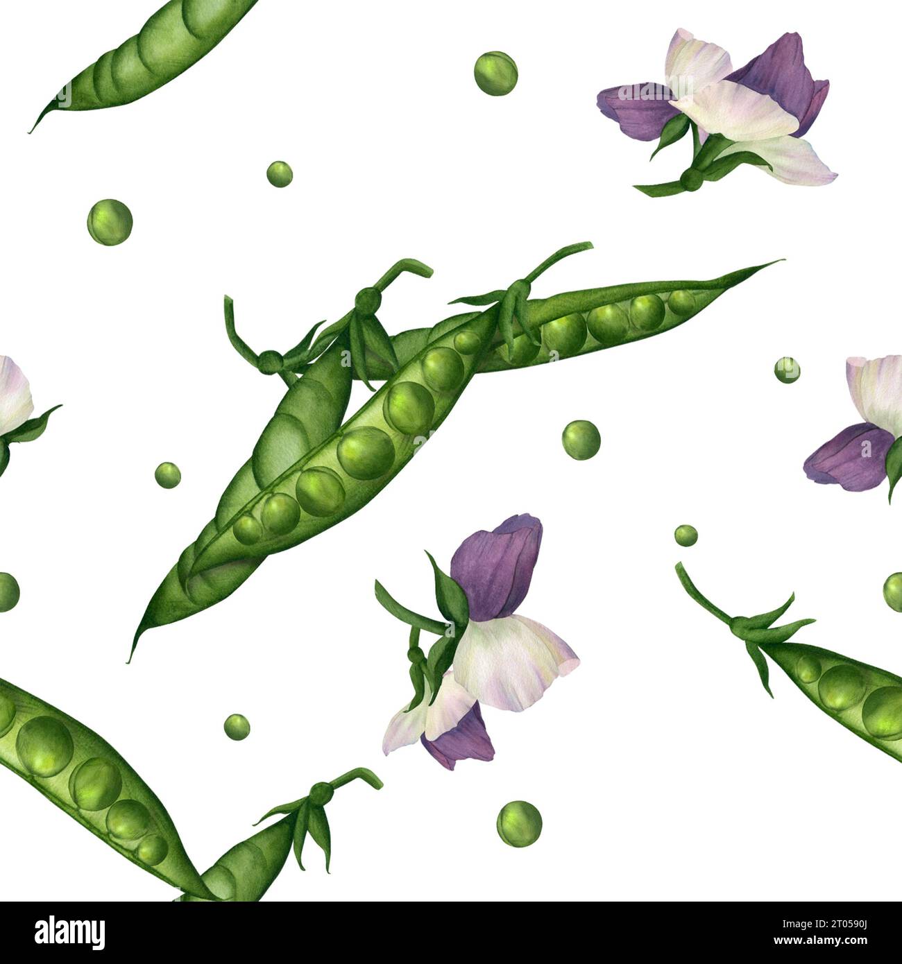 Seamless pattern with green pea pods, peas and purple flowers hand ...