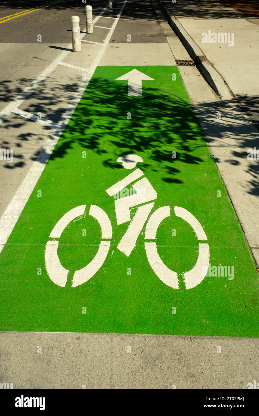 Bike path with symbol painted on pavement in Ann Arbor Michigan USA