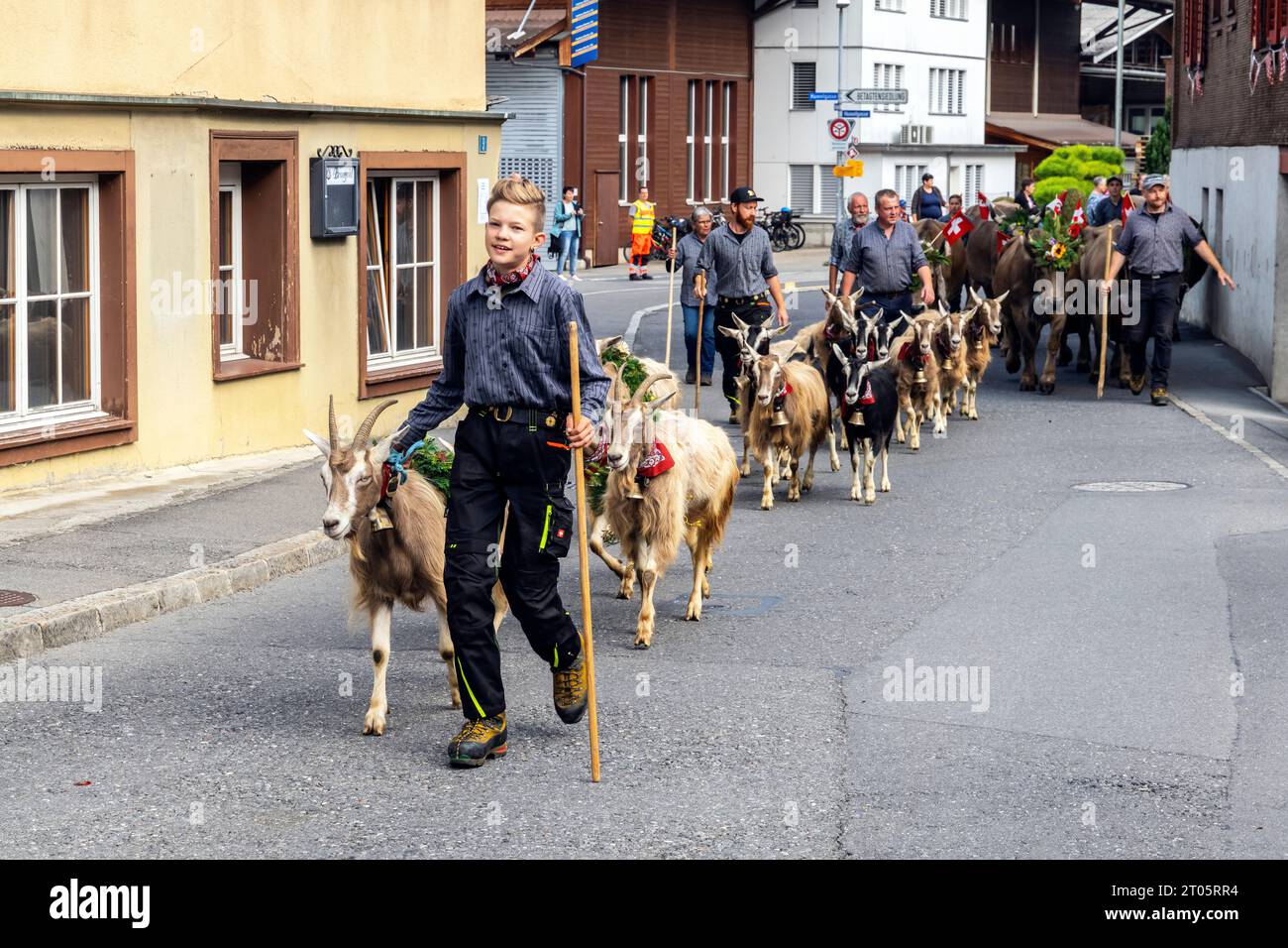 Villagers dressed in traditional costumes proudly take part in the annual Alpine cow parade in Kerns village. Kerns is a village in the canton of Obwa Stock Photo