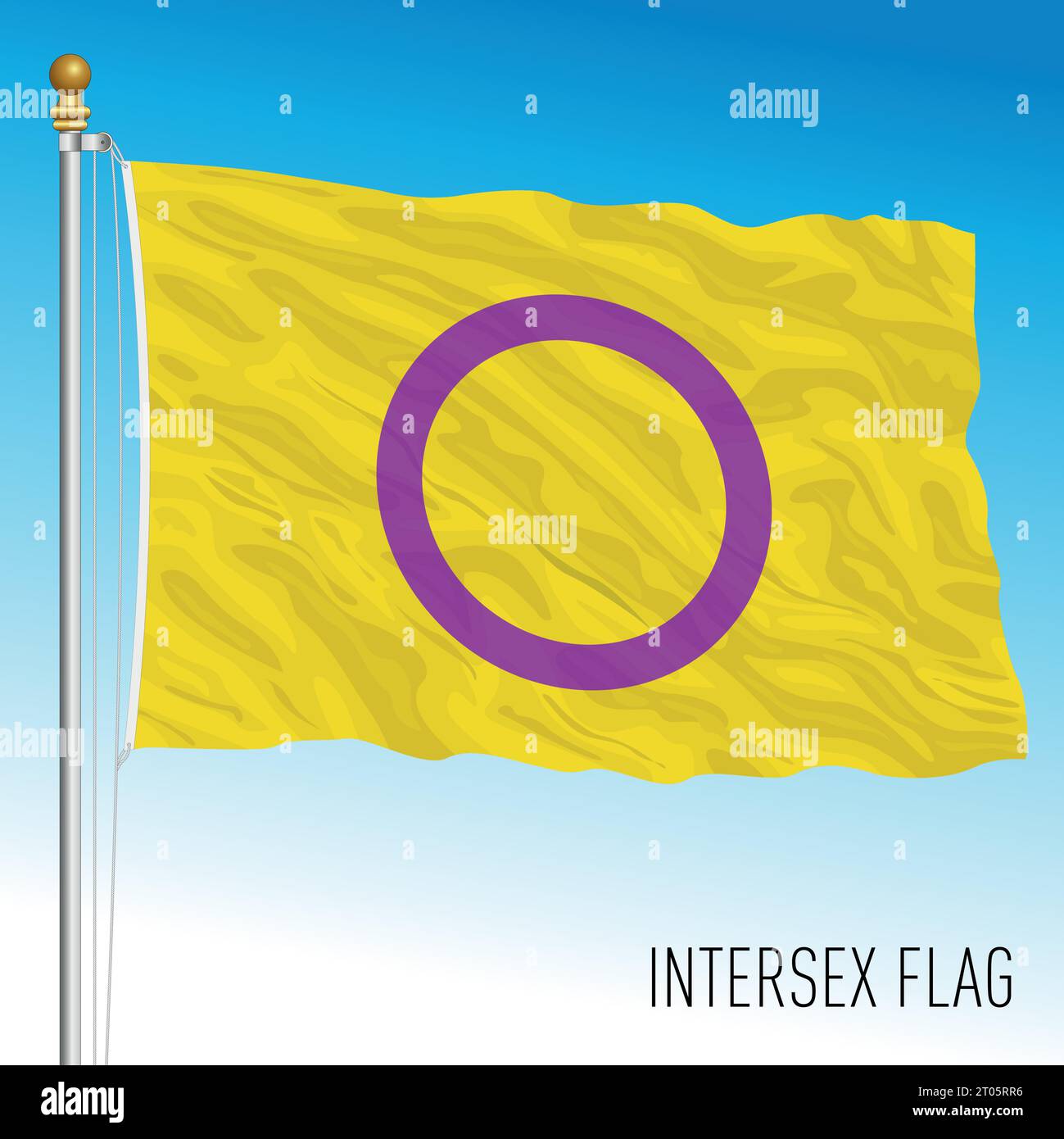 Intersex movement waving flag, international symbol, vector illustration Stock Vector