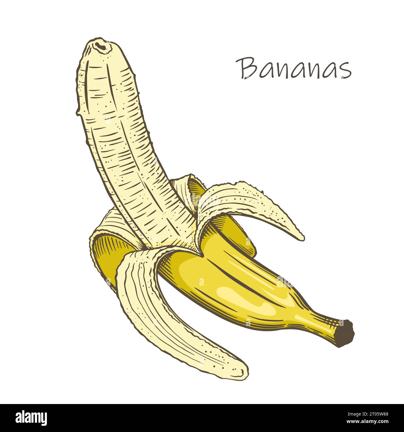 Peeled banana sketch style. Tropical fruit. Doodle color illustration. Isolated on white background. Vector. Stock Vector