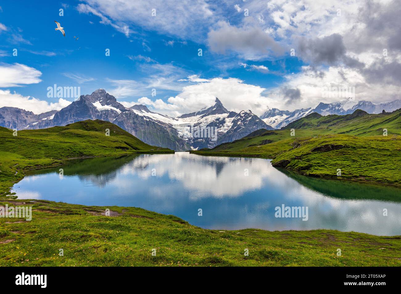 bachalpsee-lake-at-dawn-bernese-oberland-switzerland-alpine-view-of
