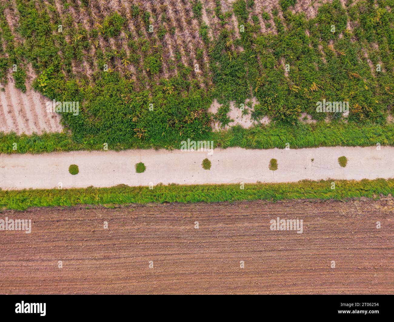 A farm road in rural area next to fields with soil and green plants Stock Photo