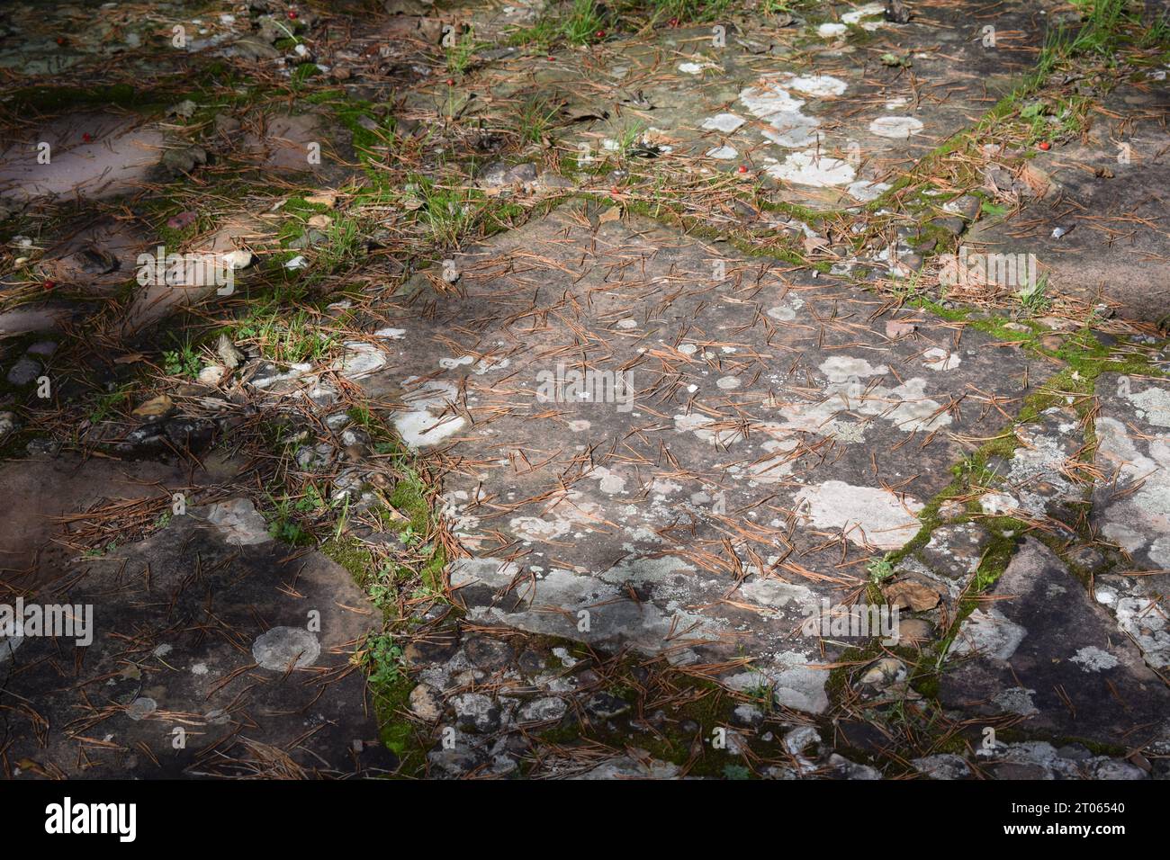 stone floor Stock Photo