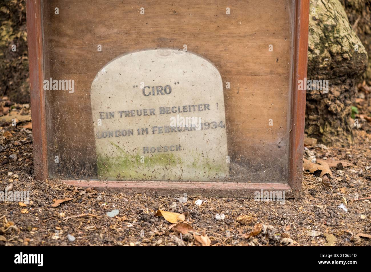 The grave of Giro, reputed to be the only Nazi dog to be buried in the heart of the city of London to the rear of the Mall. Buried in 1934. Stock Photo