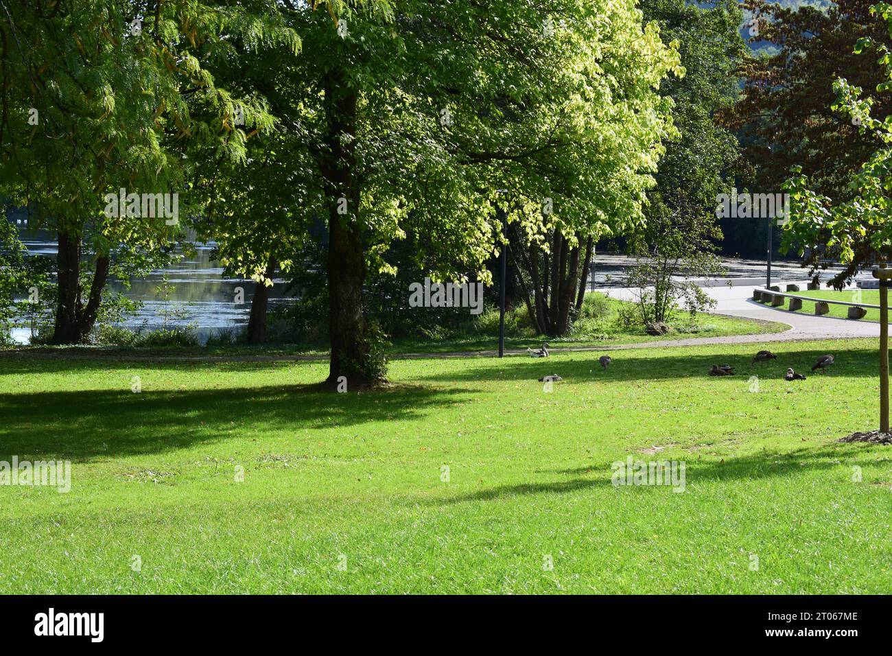 park at lac d'Echternach Stock Photo - Alamy