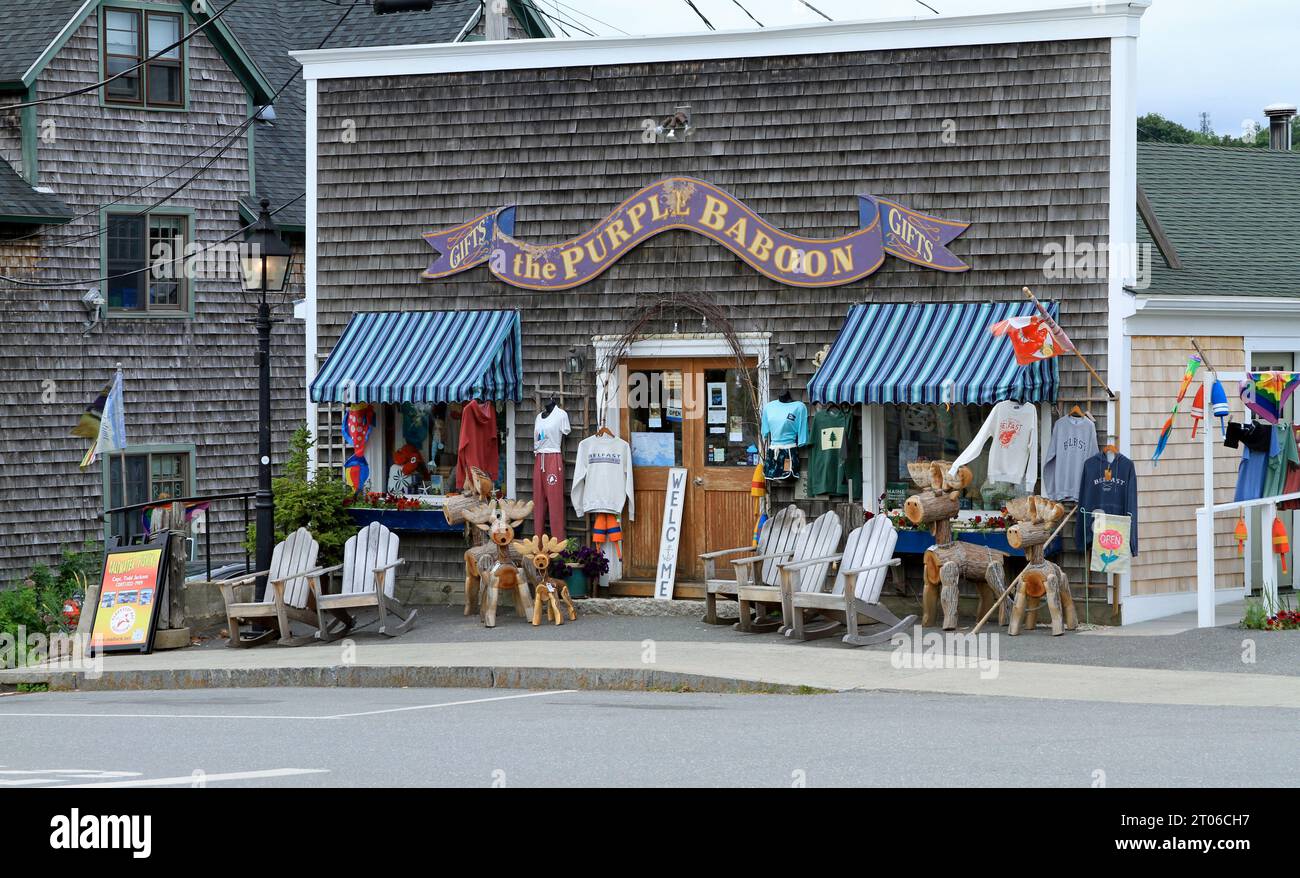 The purple baboon hires stock photography and images Alamy