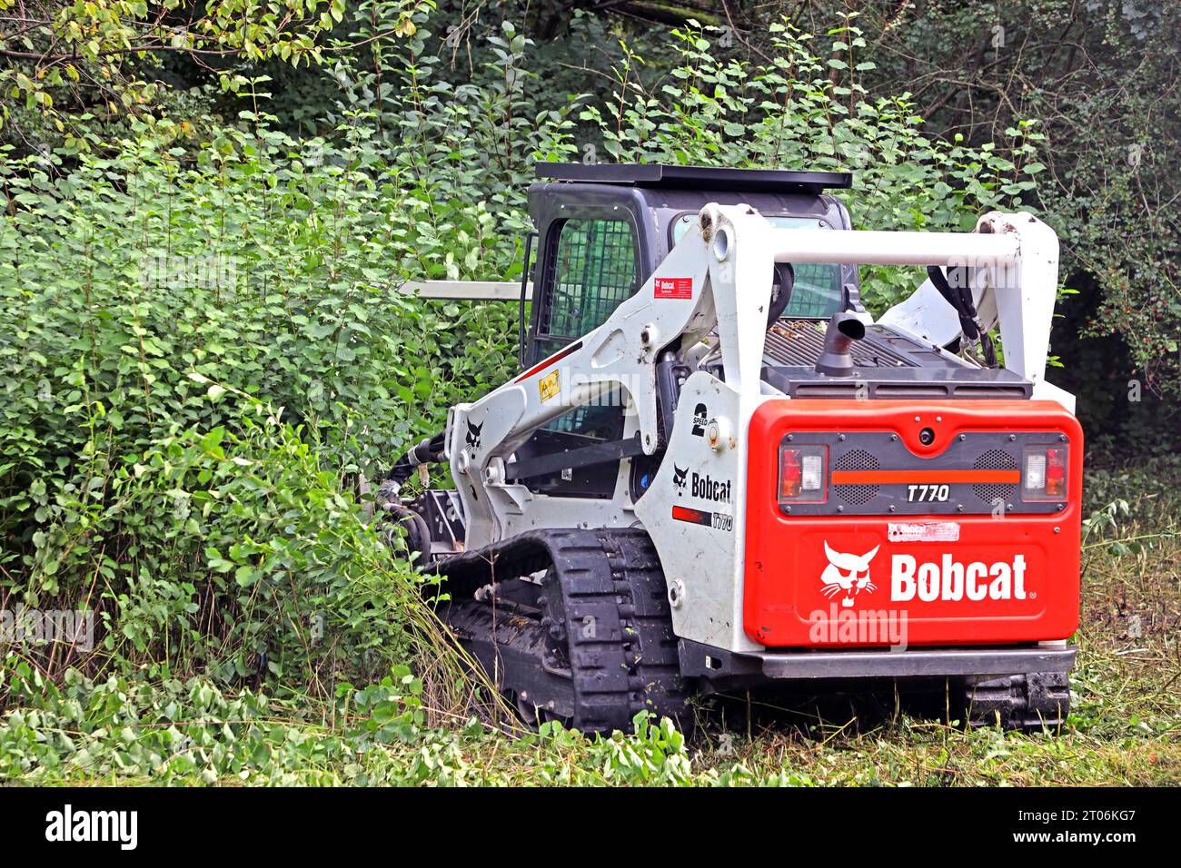 Forst mulcher hires stock photography and images Alamy