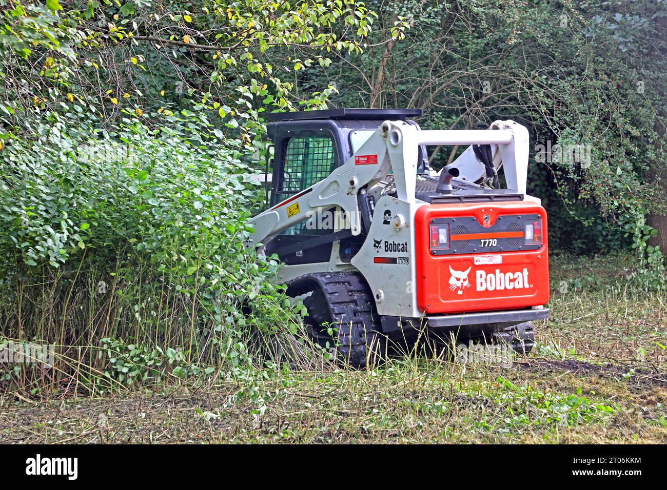 Forst mulcher hires stock photography and images Alamy