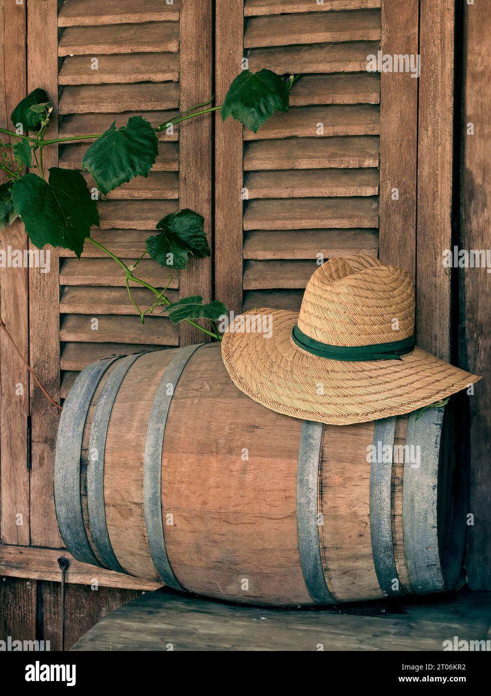 CALIFORNIA WINE TASTING TOUR STILL LIFE LIFESTYLE  Concept wine making tasting image of straw hat on wine barrel with window shutters and Merlot vine leaves Sonoma California USA Stock Photo