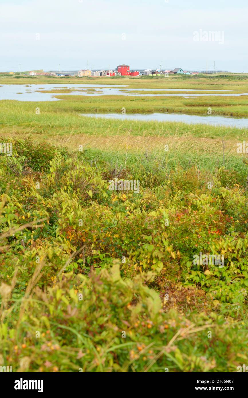 View of Covehead Harbour across the wetlands at Stanhope, Prince Edward Island, Canada Stock Photo