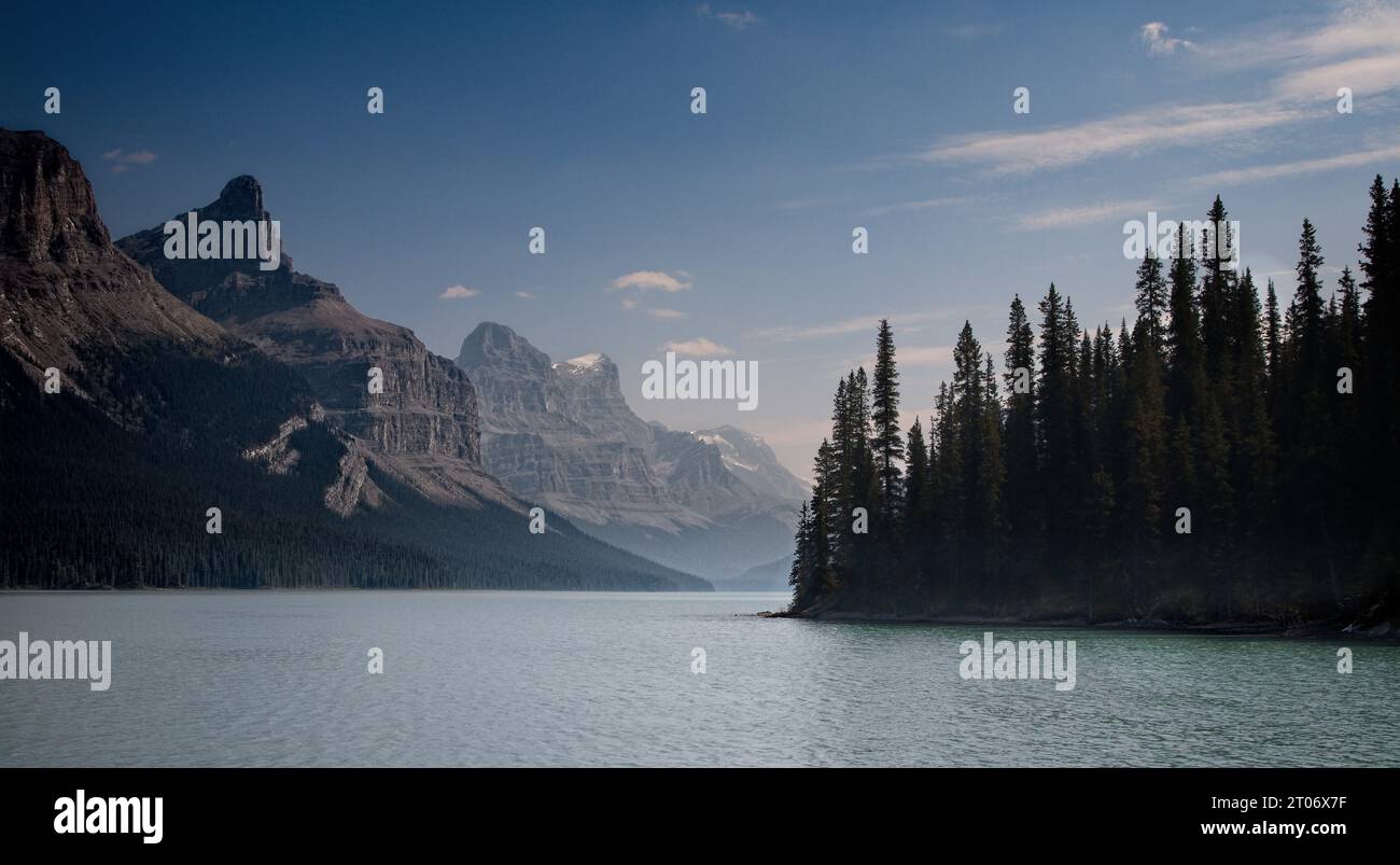 Watery environment hi-res stock photography and images - Alamy