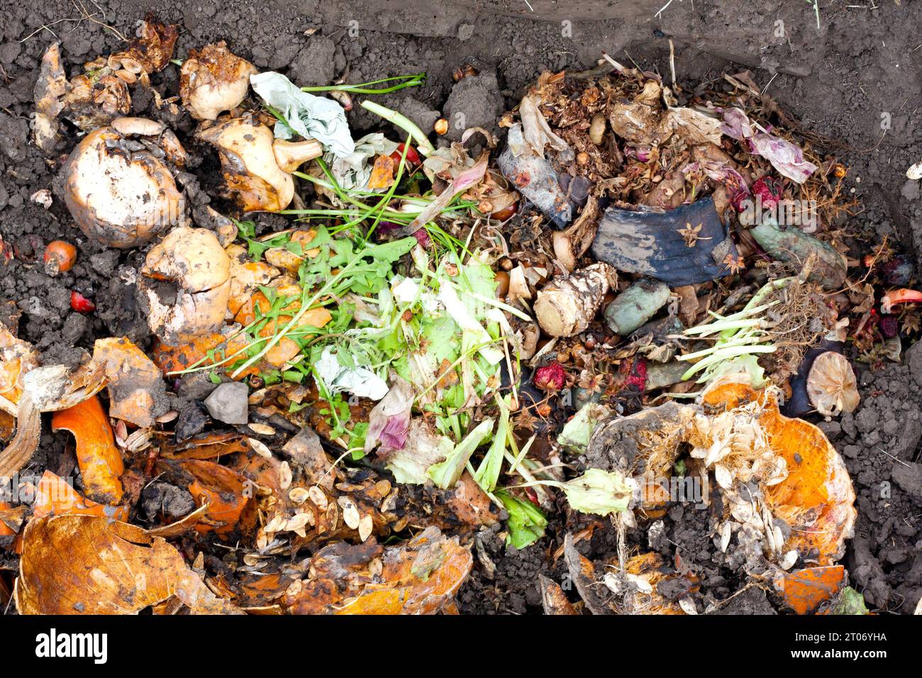 compost heap. Ecological method for recycling food waste at home to make compost. Food waste in compost pit on private garden. Rotting organic waste f Stock Photo
