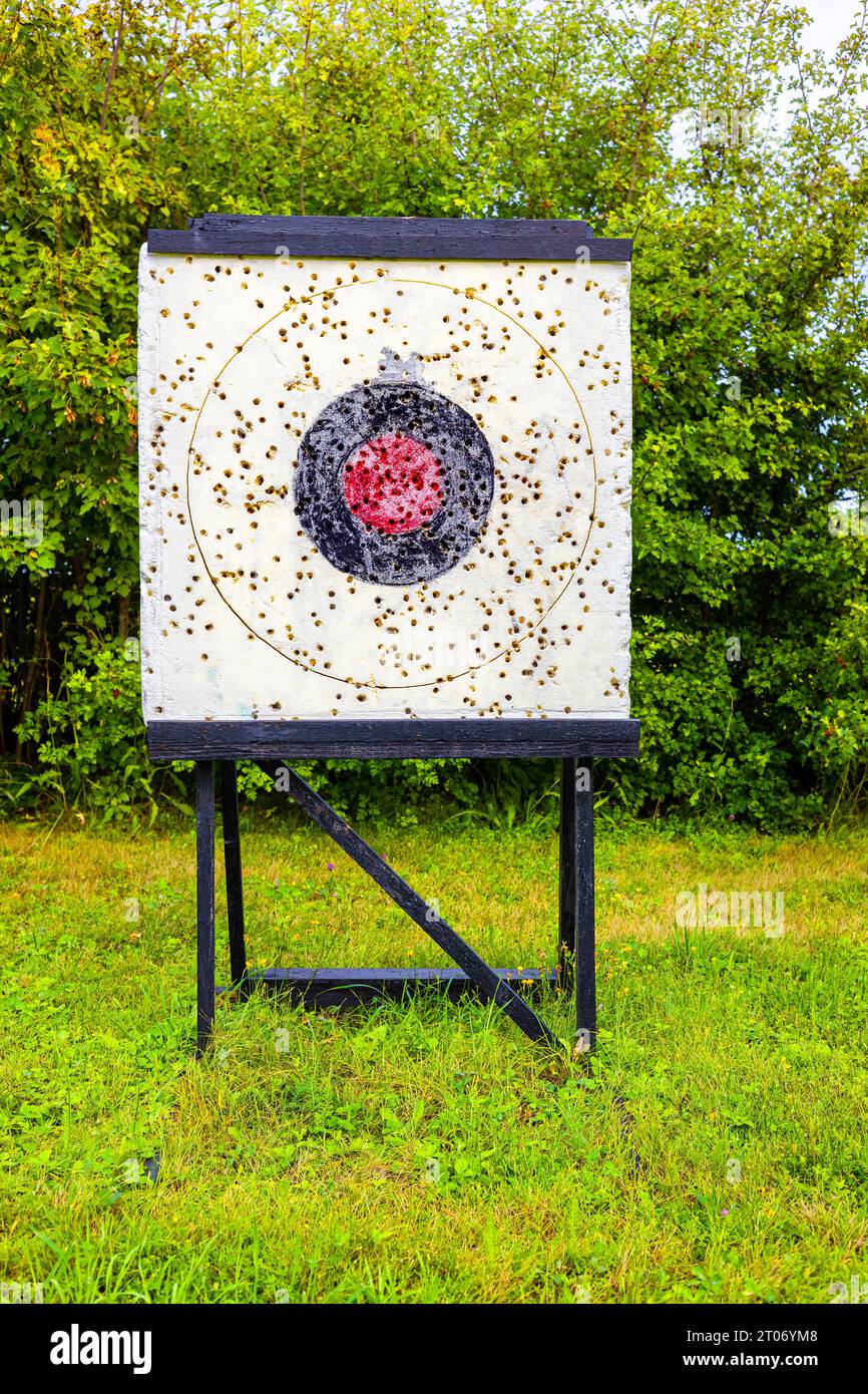 target in the park with traces of airgun bullets. bullet hole. hitting the target. shooting range. High quality photo Stock Photo