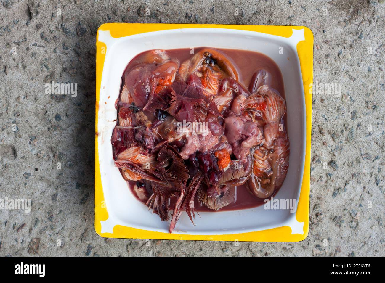 Offal after cutting fish. Fish waste in a bowl on a stone countertop. Fish giblets inedible for humans, animal feed Stock Photo