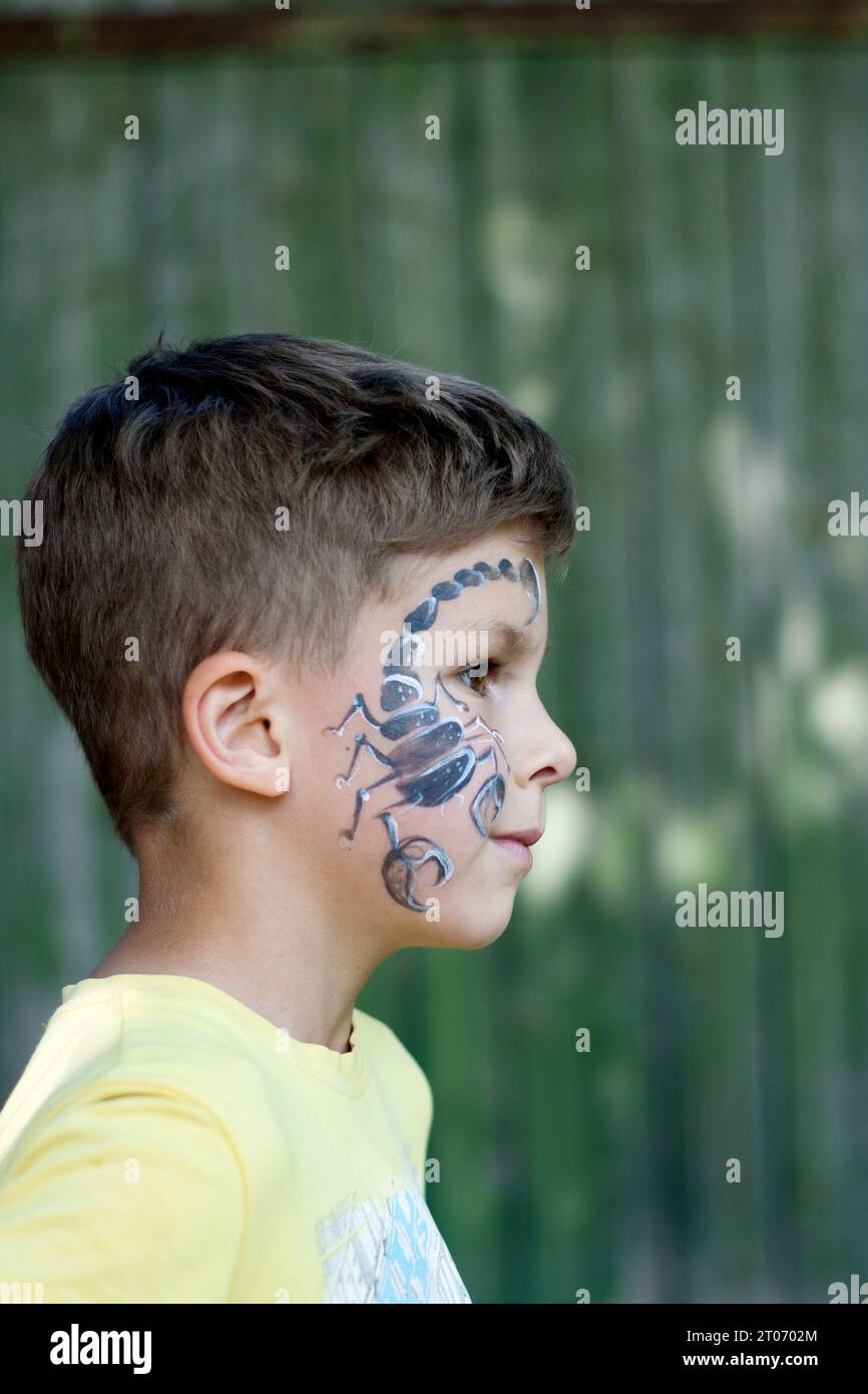 Profile portrait of preschool boy with painted scorpion on his face. Festive face painting. Happy brown-eyed child outdoors on green background. Summe Stock Photo