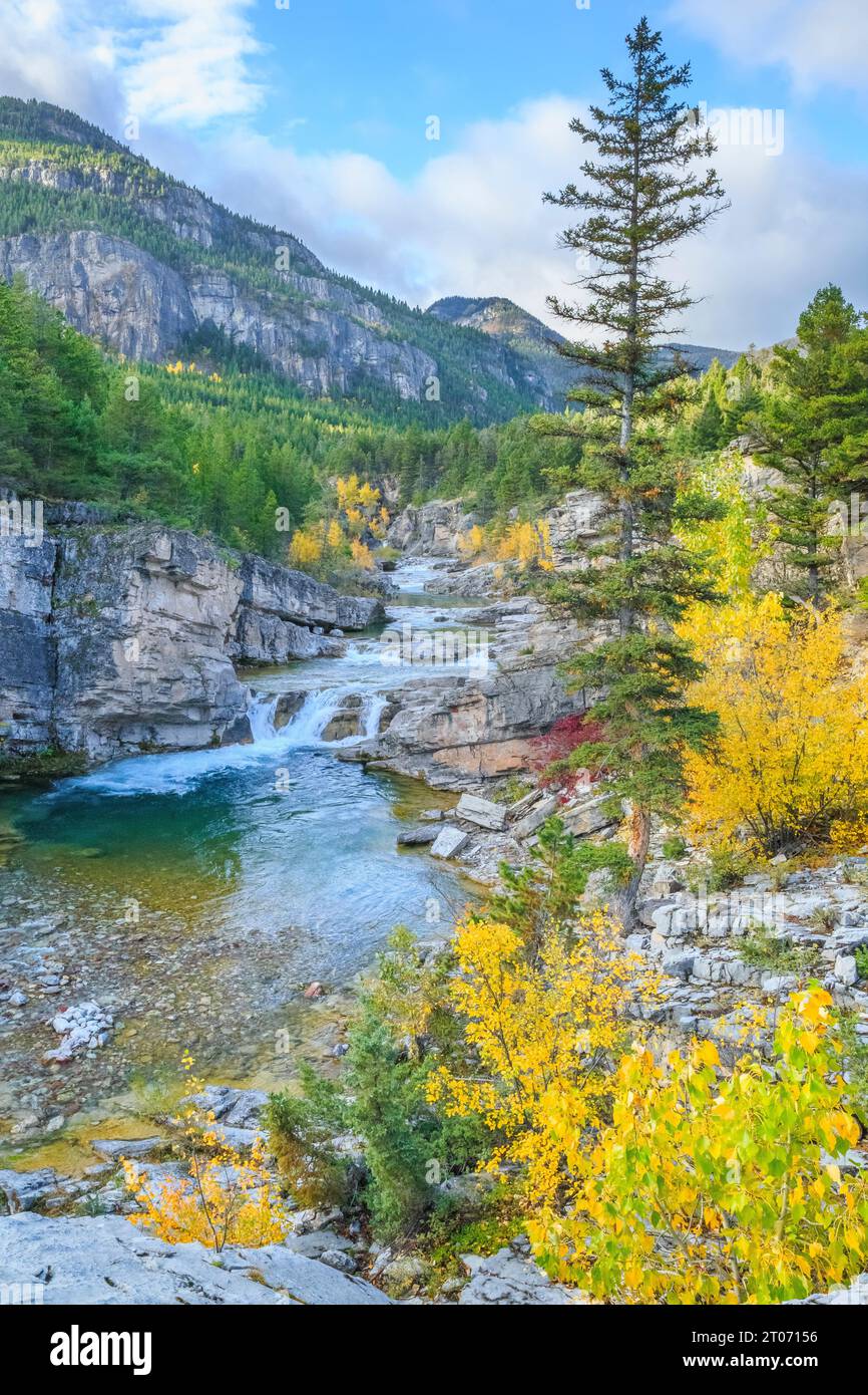 fall colors along the dearborn river in the devils glen area of the scapegoat wilderness in lewis and clark national forest near augusta, montana Stock Photo