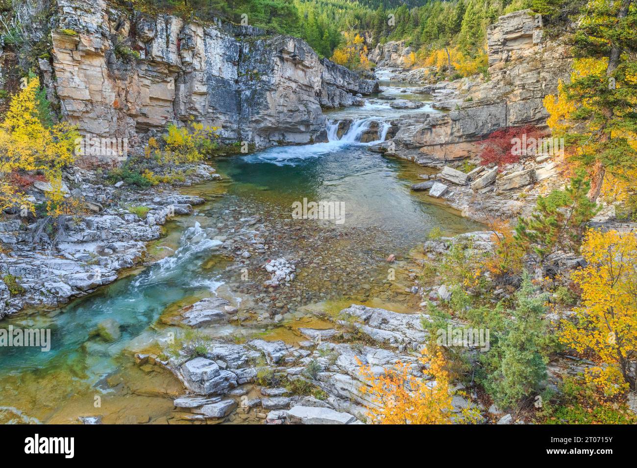 fall colors along the dearborn river in the devils glen area of the scapegoat wilderness in lewis and clark national forest near augusta, montana Stock Photo