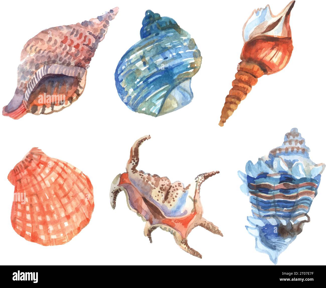 Watercolor shell starfish cockleshells decorative icons set isolated ...
