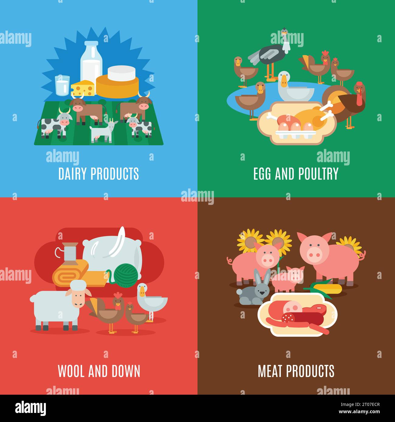 Domestic animal design concept set with dairy meat products eggs wool